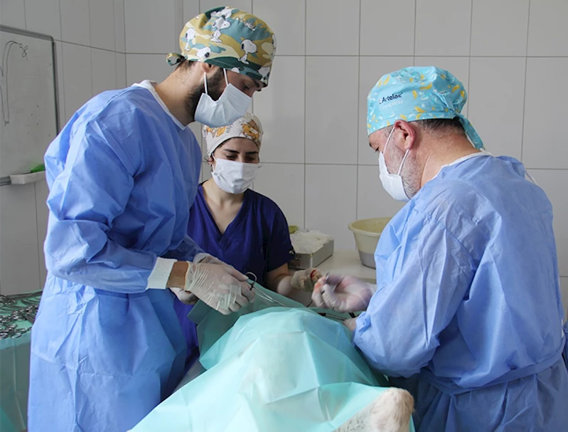 SOKAK HAYVANLARI EMİN ELLERDE