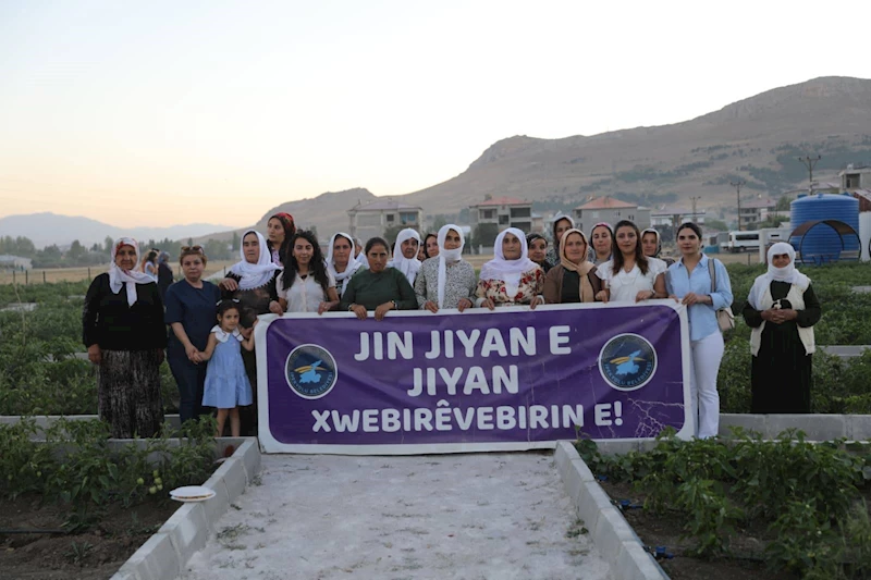 İpekyolu’nda Dayanışma Büyüyor: Şafak Kadın Kent Bostanı Hasata Başladı