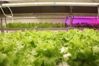 KÂĞITHANE’DE YENİLİKÇİ TARIM TEKNOLOJİLERİ YERİNDE İNCELENDİ