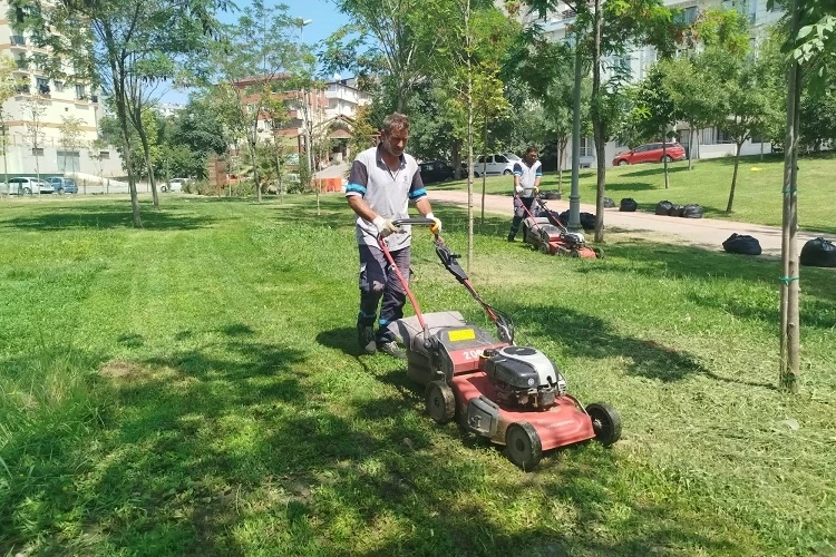 Gebze Tatlıkuyu Vadisi Kent Parkı