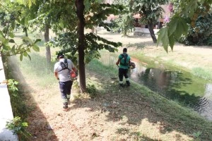 DERE ÇEVRELERİNDE YABANİ OT TEMİZLİĞİ DEVAM EDİYOR