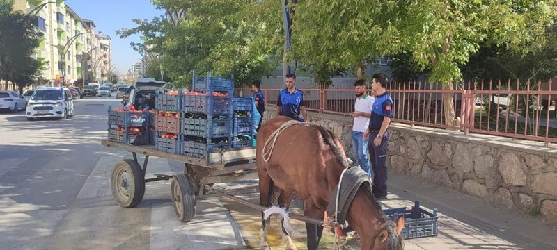 ZABITA EKİPLERİ, AT ARABALARI DENETİMLERİNİ SIKLAŞTIRDI