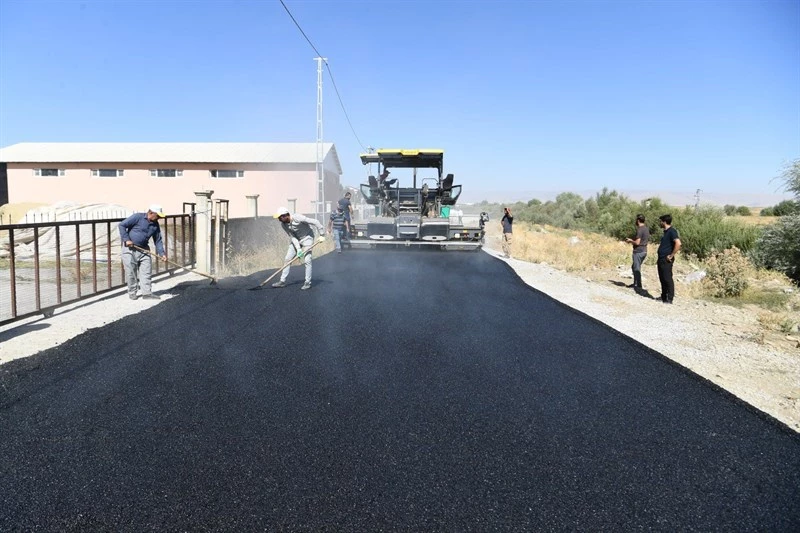 EŞBAŞKAN SÖYLEMEZ, SÜTLÜCE