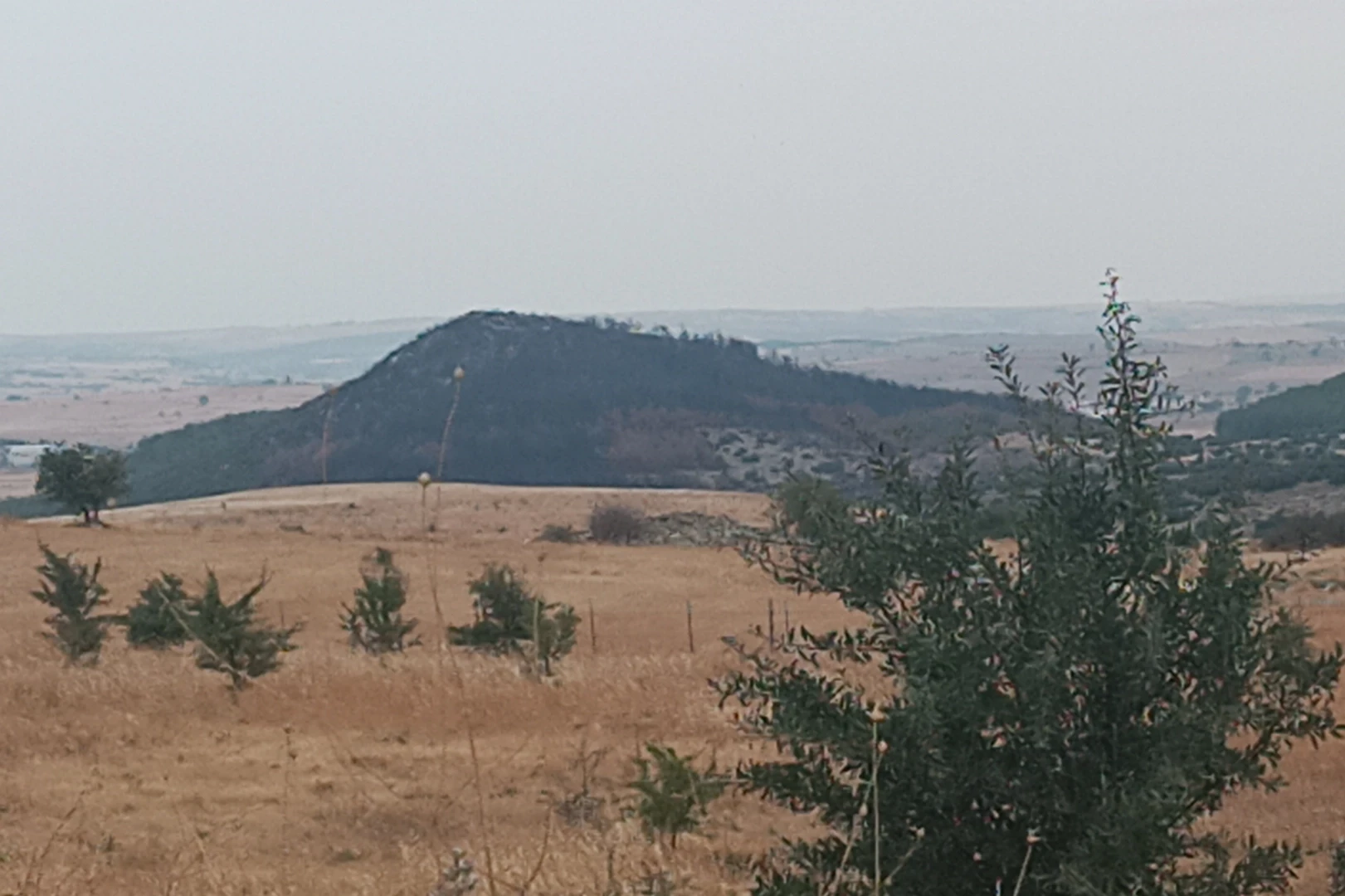 Keşan Sivritepe’ye fidan dikimi müjdesi... 11 Kasım’da yeşillenecek