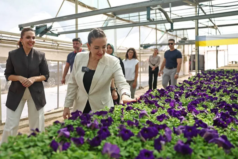 Büşra Özdemir Hurma Bitki Üretim Tesisi