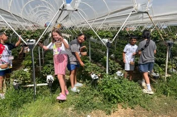 DOĞANIN KALBİNDE BİR YAZ MASALI SONA ERDİ