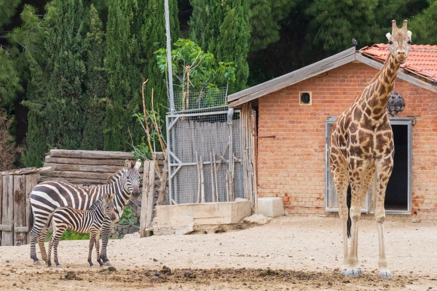 İzmir Doğal Yaşam Parkı