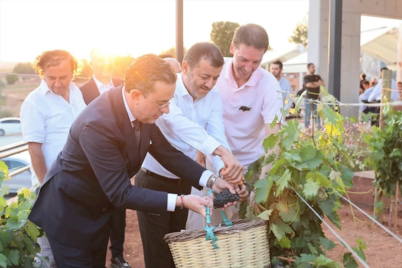 Çal Bağbozumu Festivali’nde kültür, sanat ve bağcılık bir arada